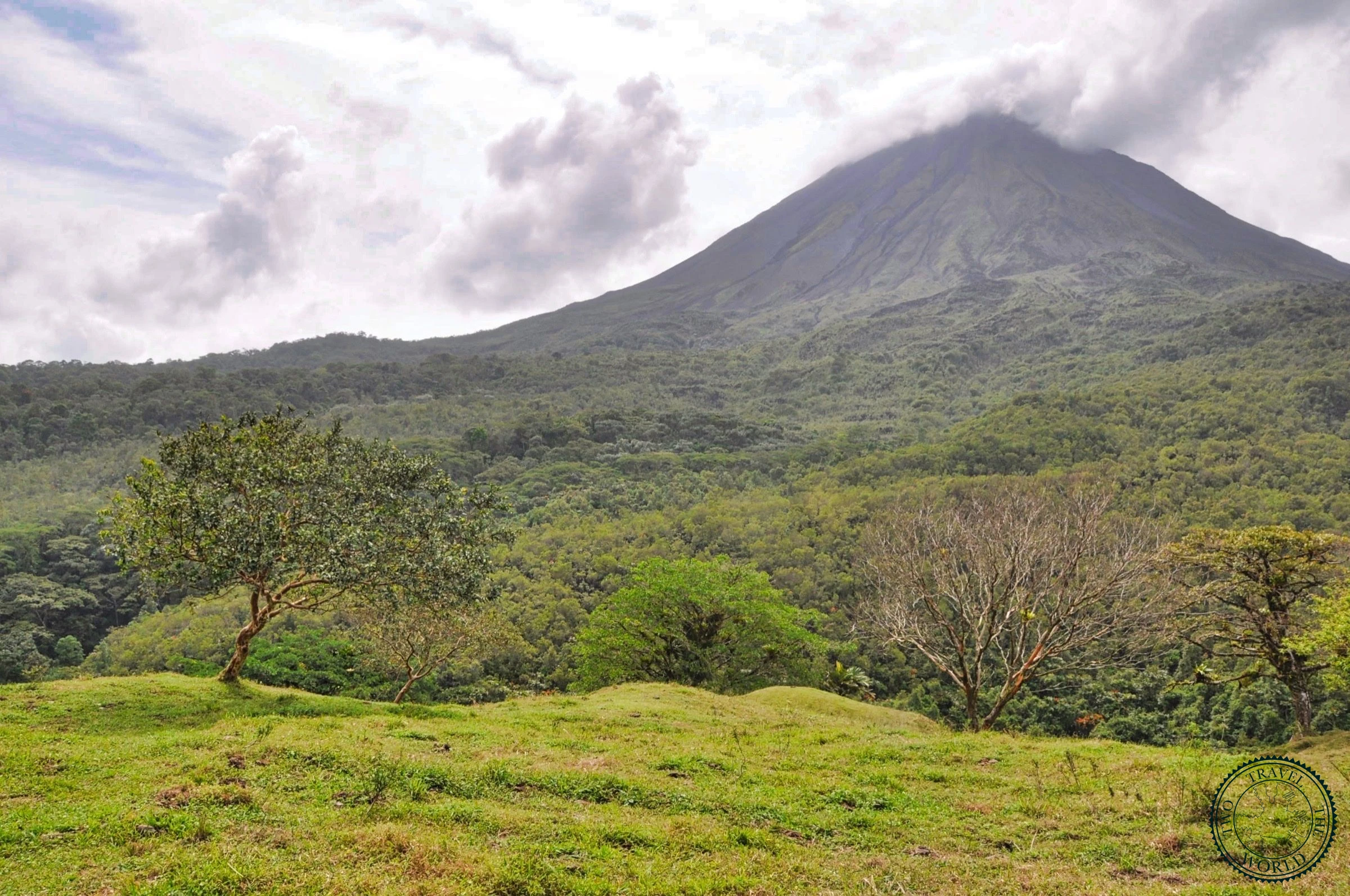Historic 1968 lava fields with hardened black rock surrounded by recovering rainforest