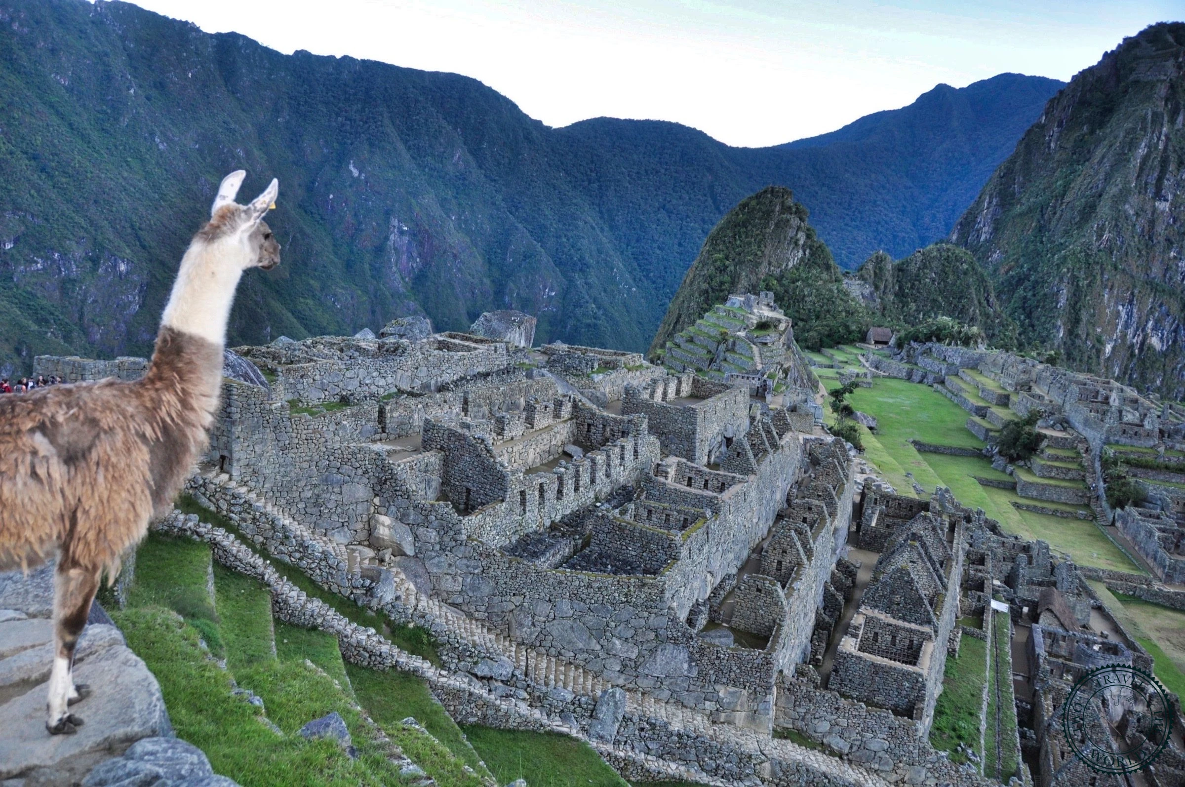 Sunrise illuminating the ancient Machu Picchu citadel with the Andes Mountains behind