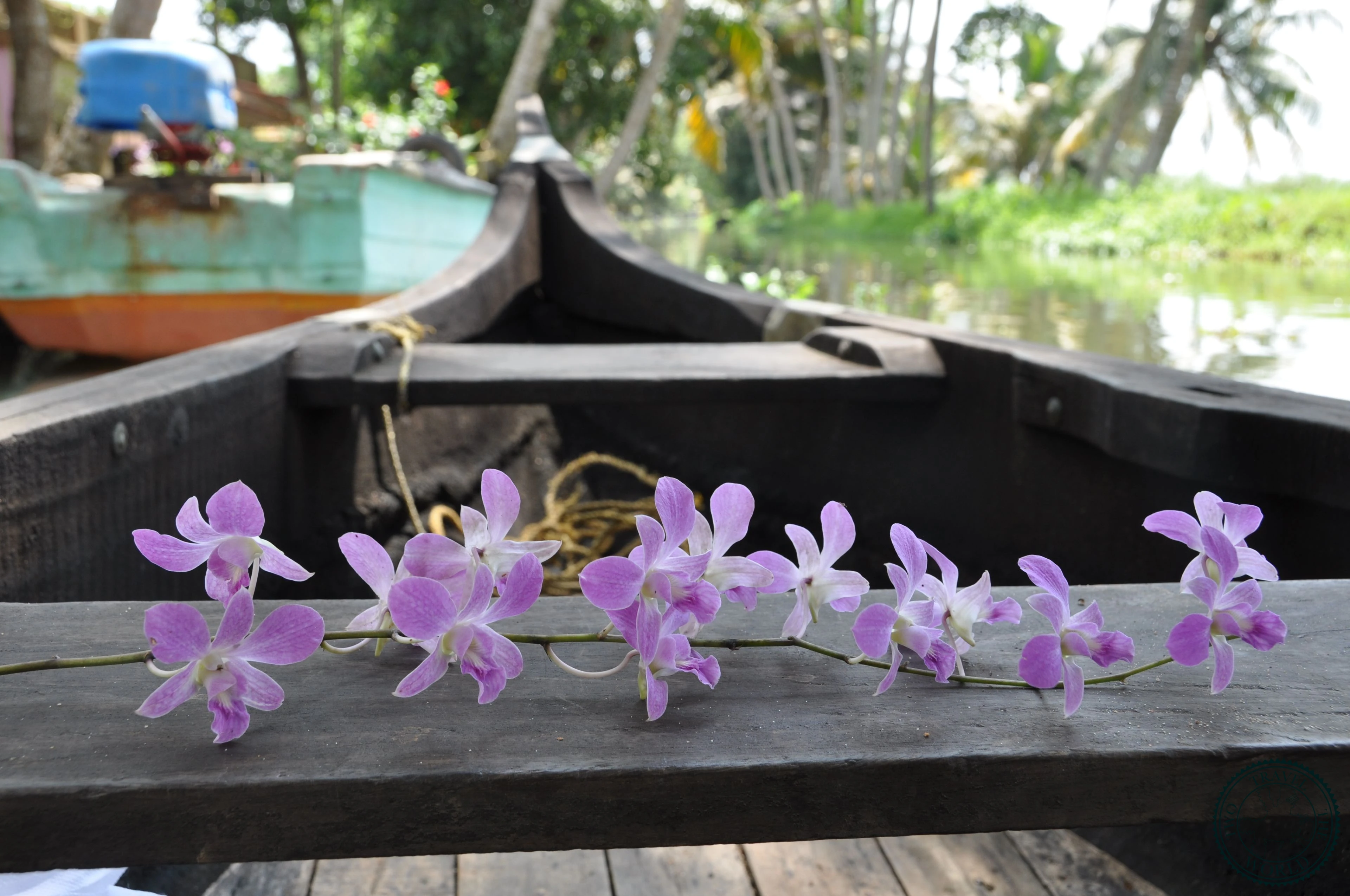 Traditional canoe gliding through lush green palm-fringed waterways of Kerala