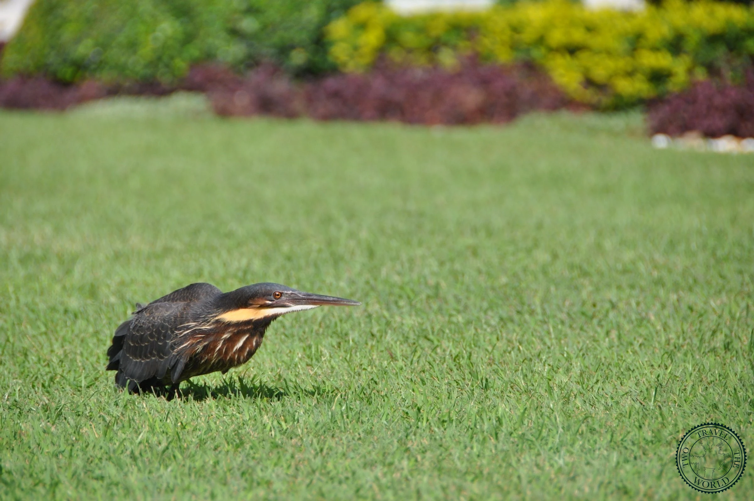 Tourists crowding the Grand Palace complex trying to take photos