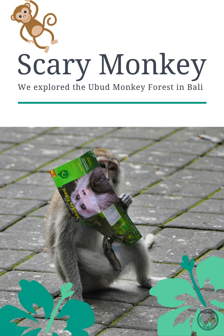 Ancient temples and mischievous monkeys - Inside Bali's Sacred Monkey Forest