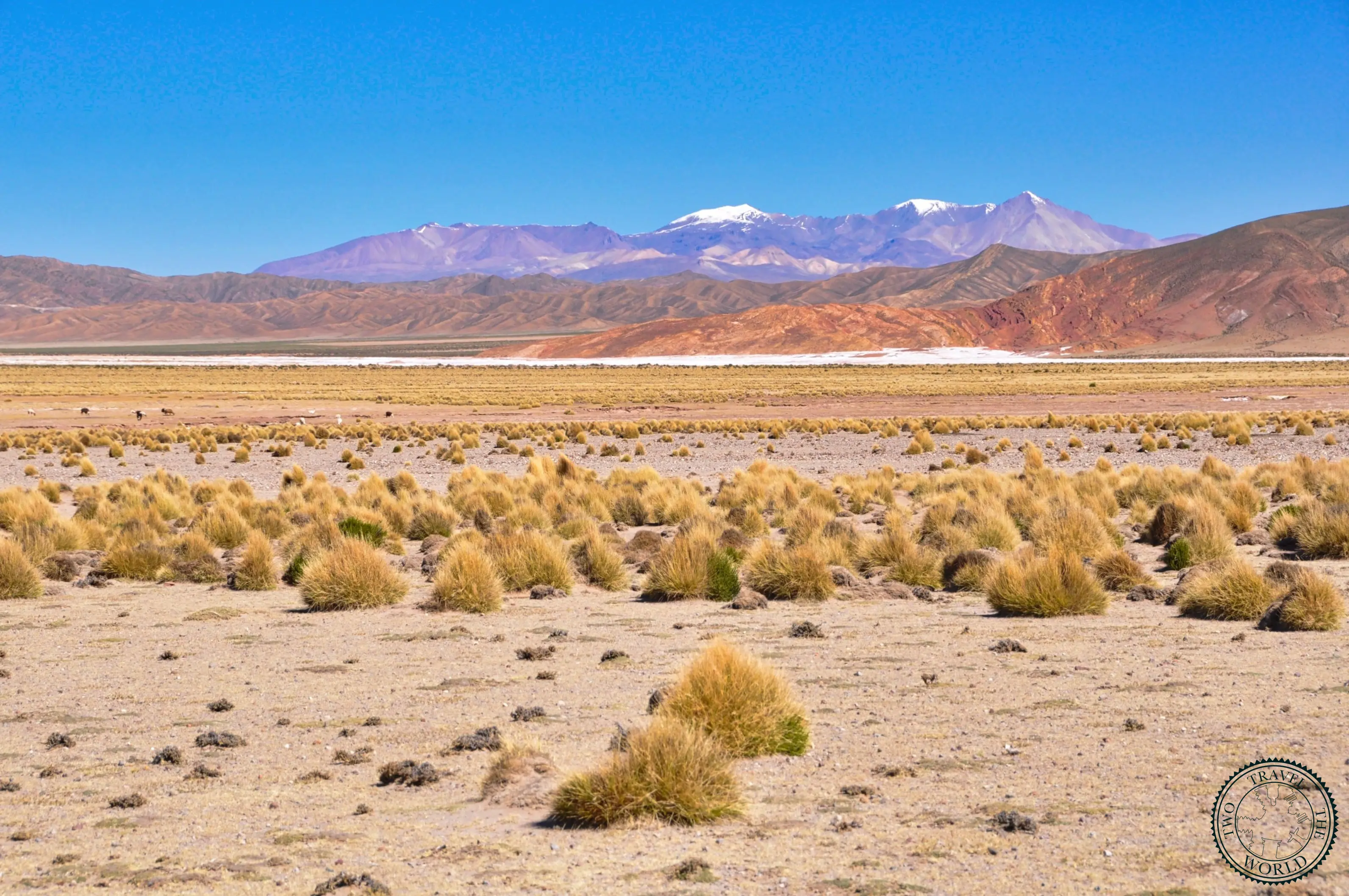Uyuni Salt Flats tour from Tupiza, Bolivia - Day 1/4