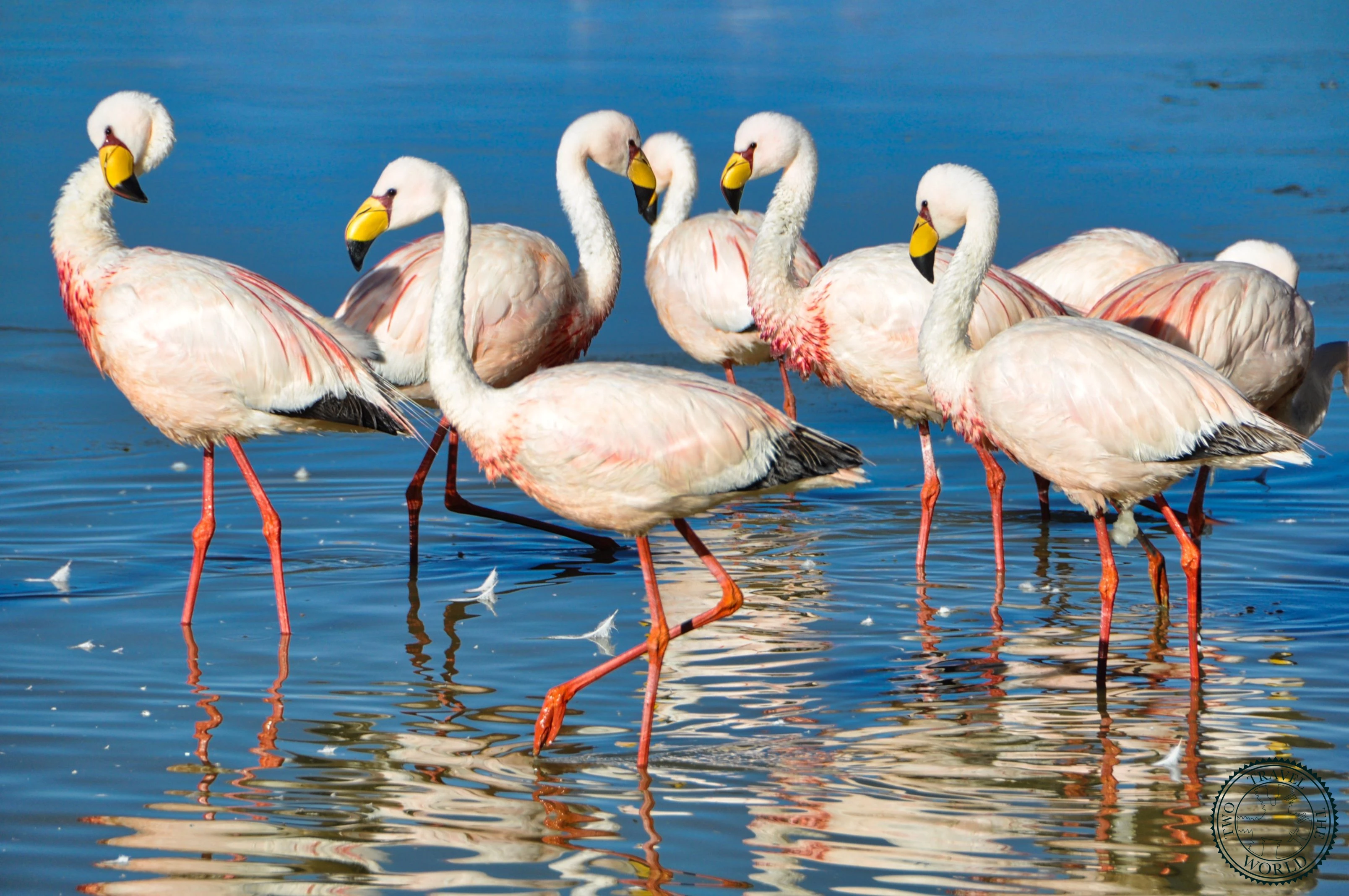 Two Travel The World - Uyuni Salt Flats tour from Tupiza, Bolivia