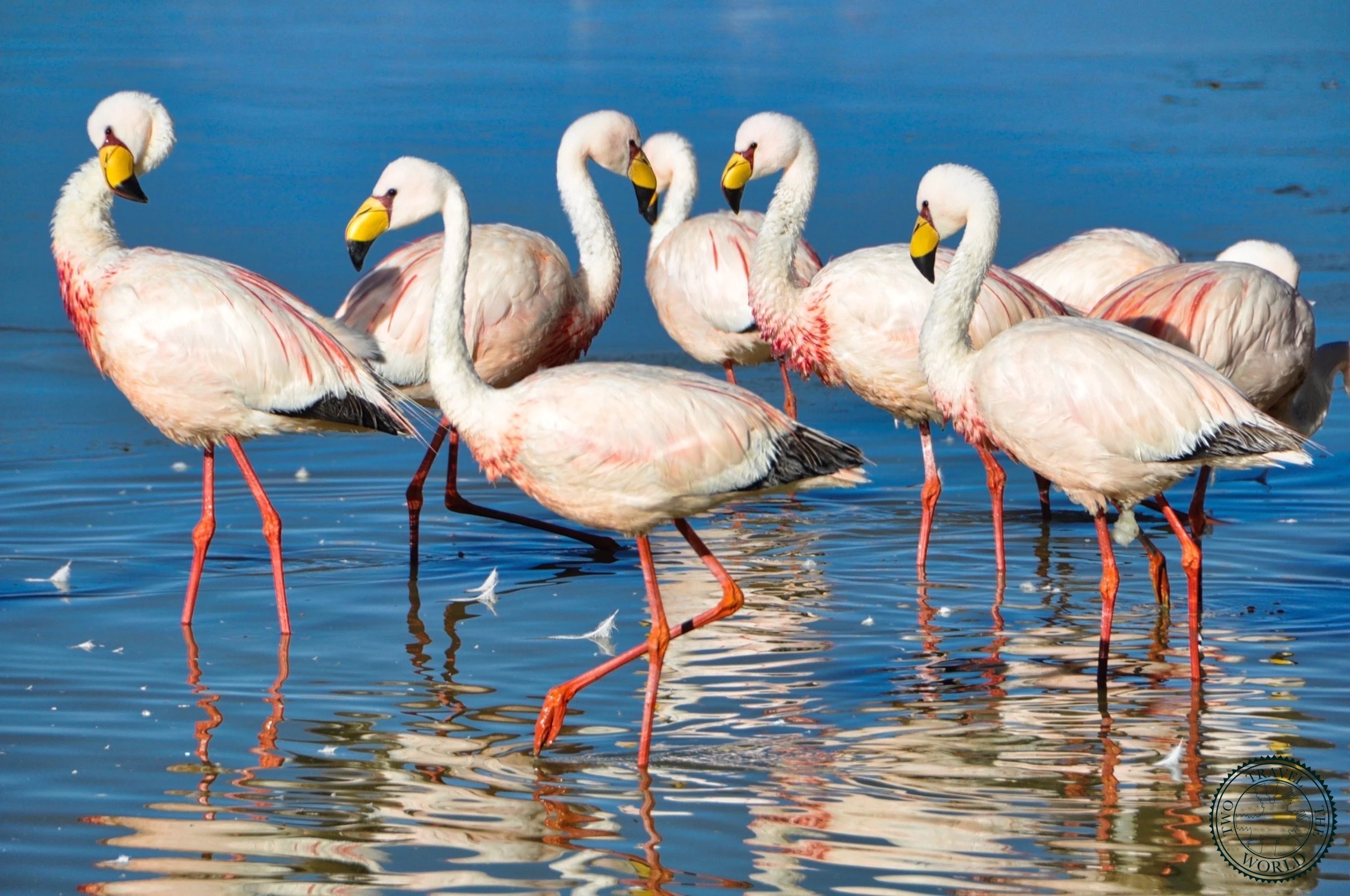 Two Travel The World - Uyuni Salt Flats tour from Tupiza, Bolivia