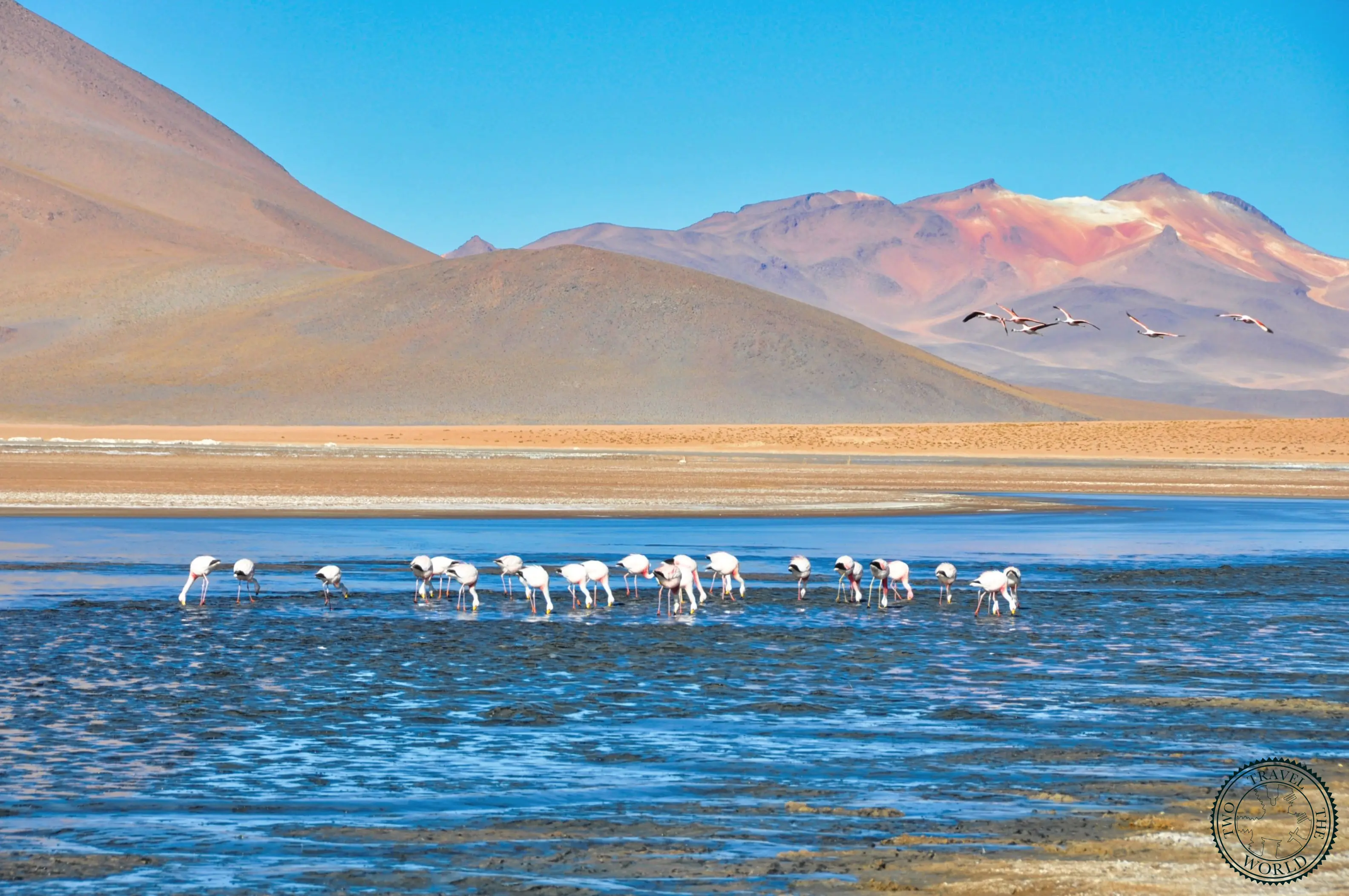 Uyuni Salt Flats tour from Tupiza, Bolivia - Day 2/4