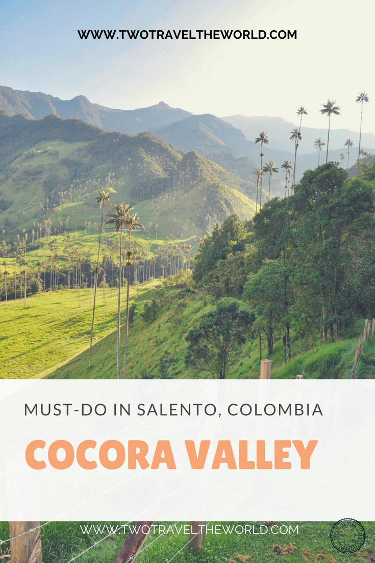 Cocora Valley cloud forest trek