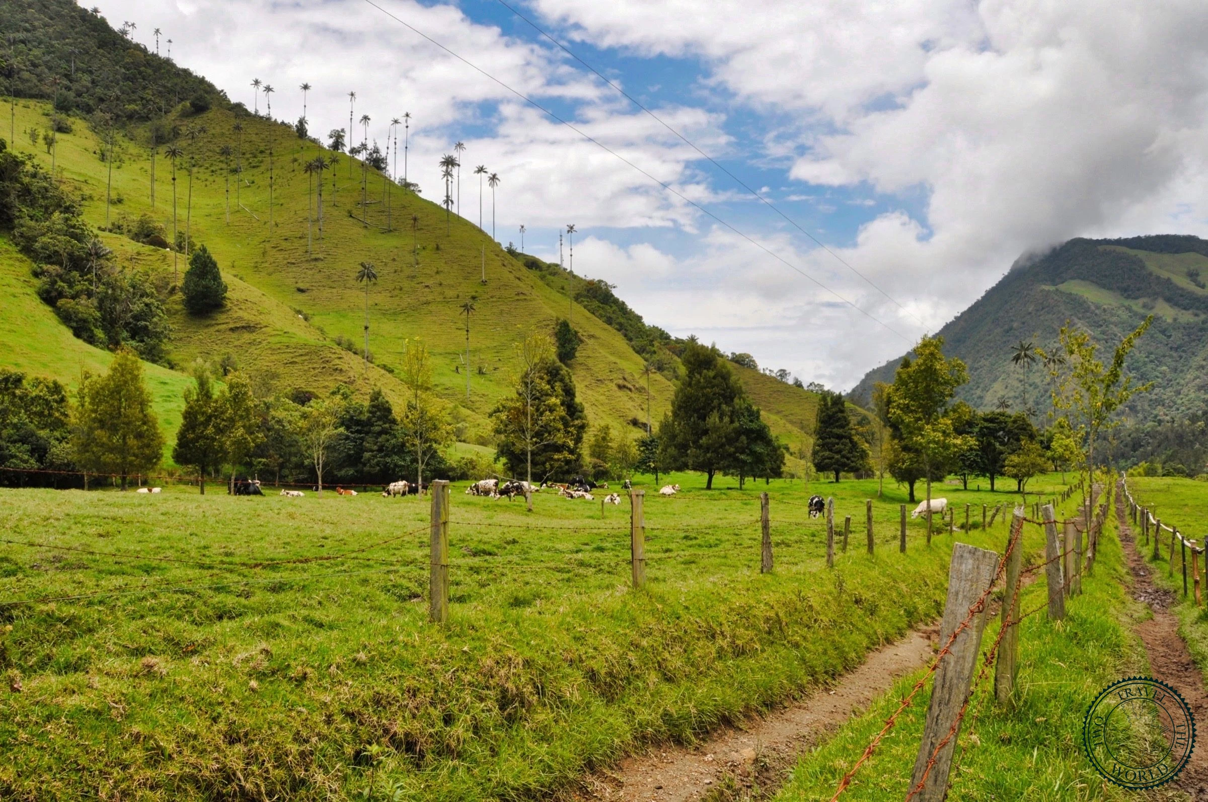 Muddy forest trail alongside the river with tropical vegetation