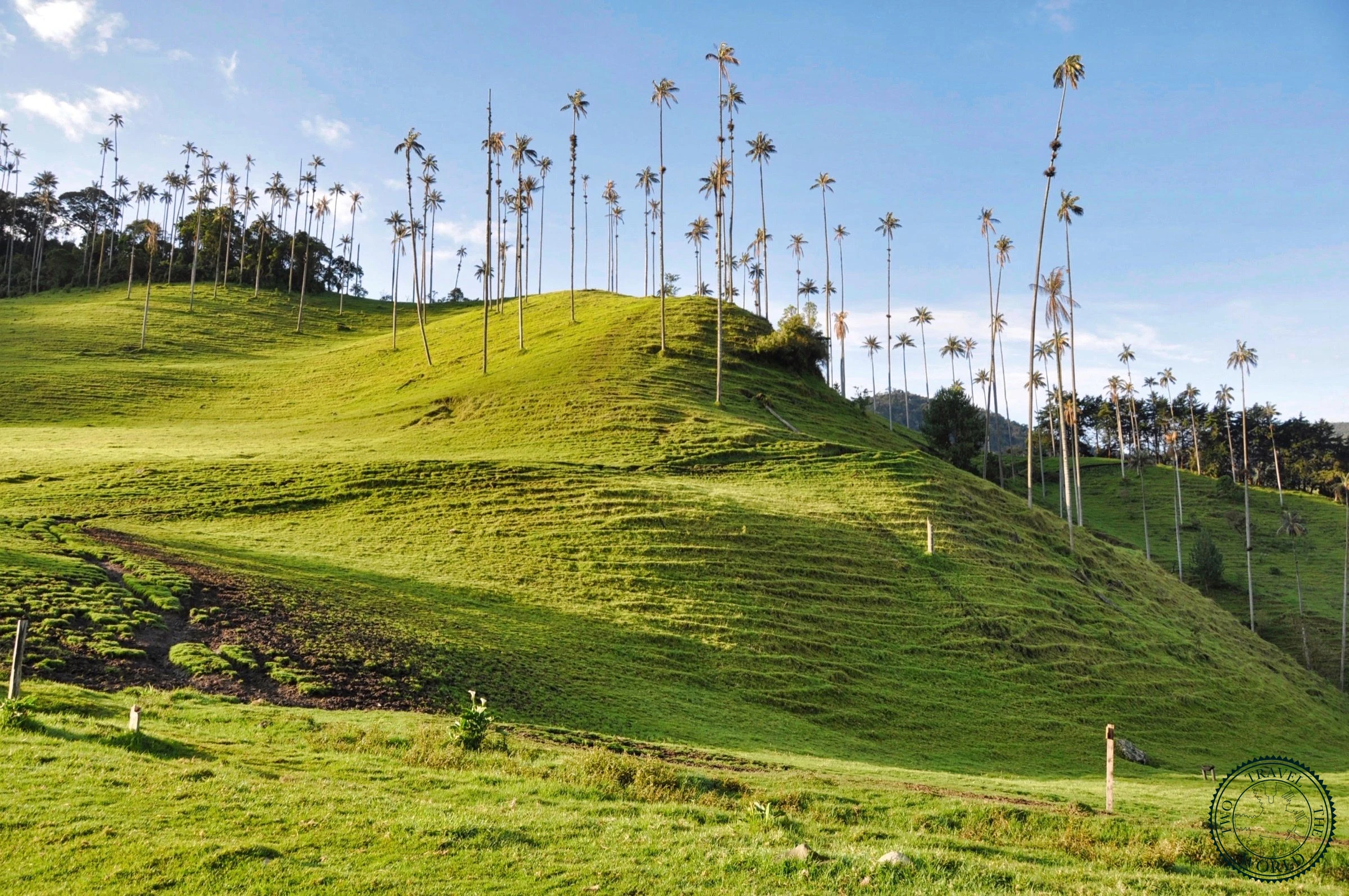 Valle de Cocora: Hiking Colombia's Wax Palm Valley