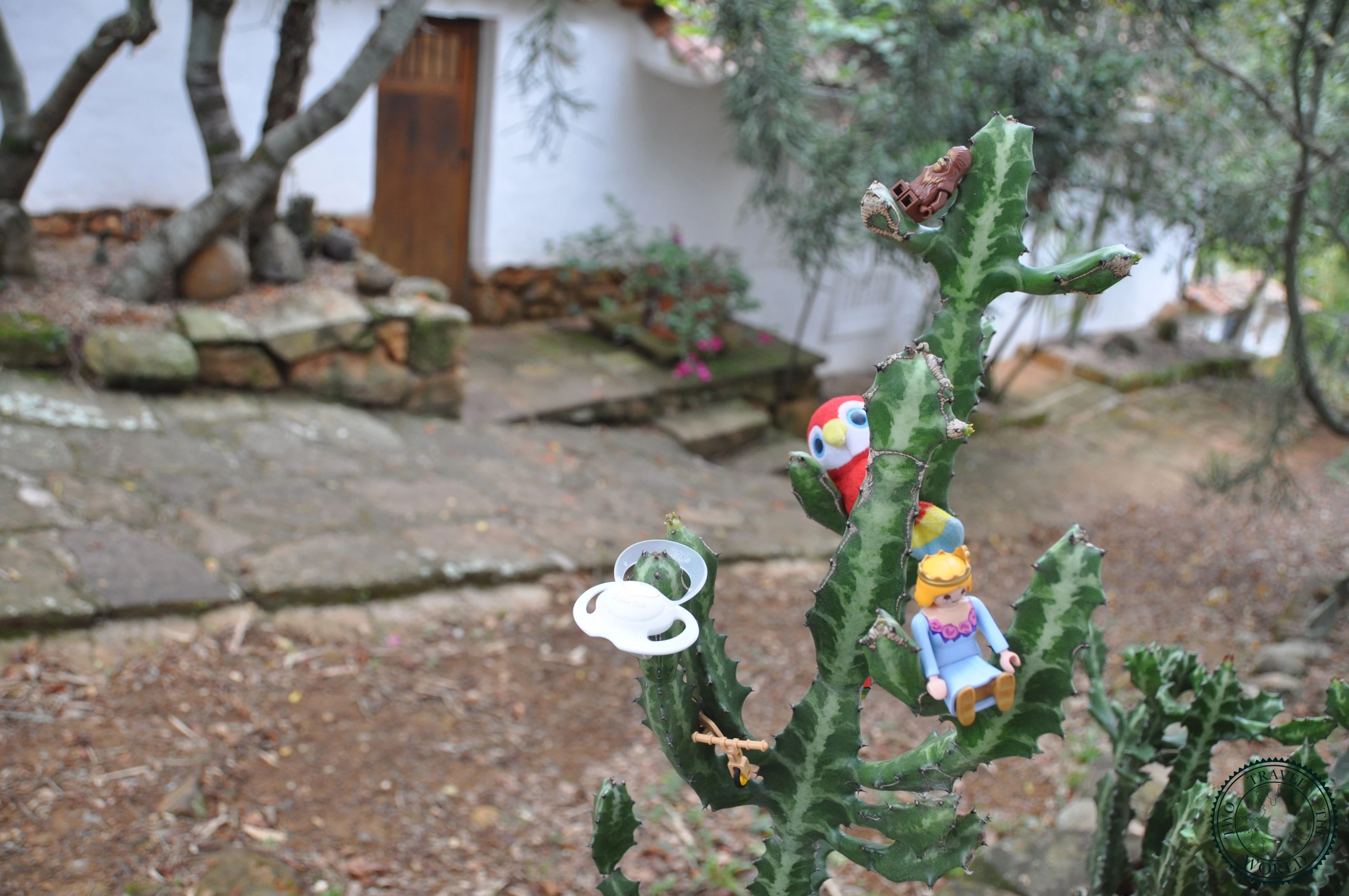 Les Fiots test the comfort of Colombian cacti! Ouch!