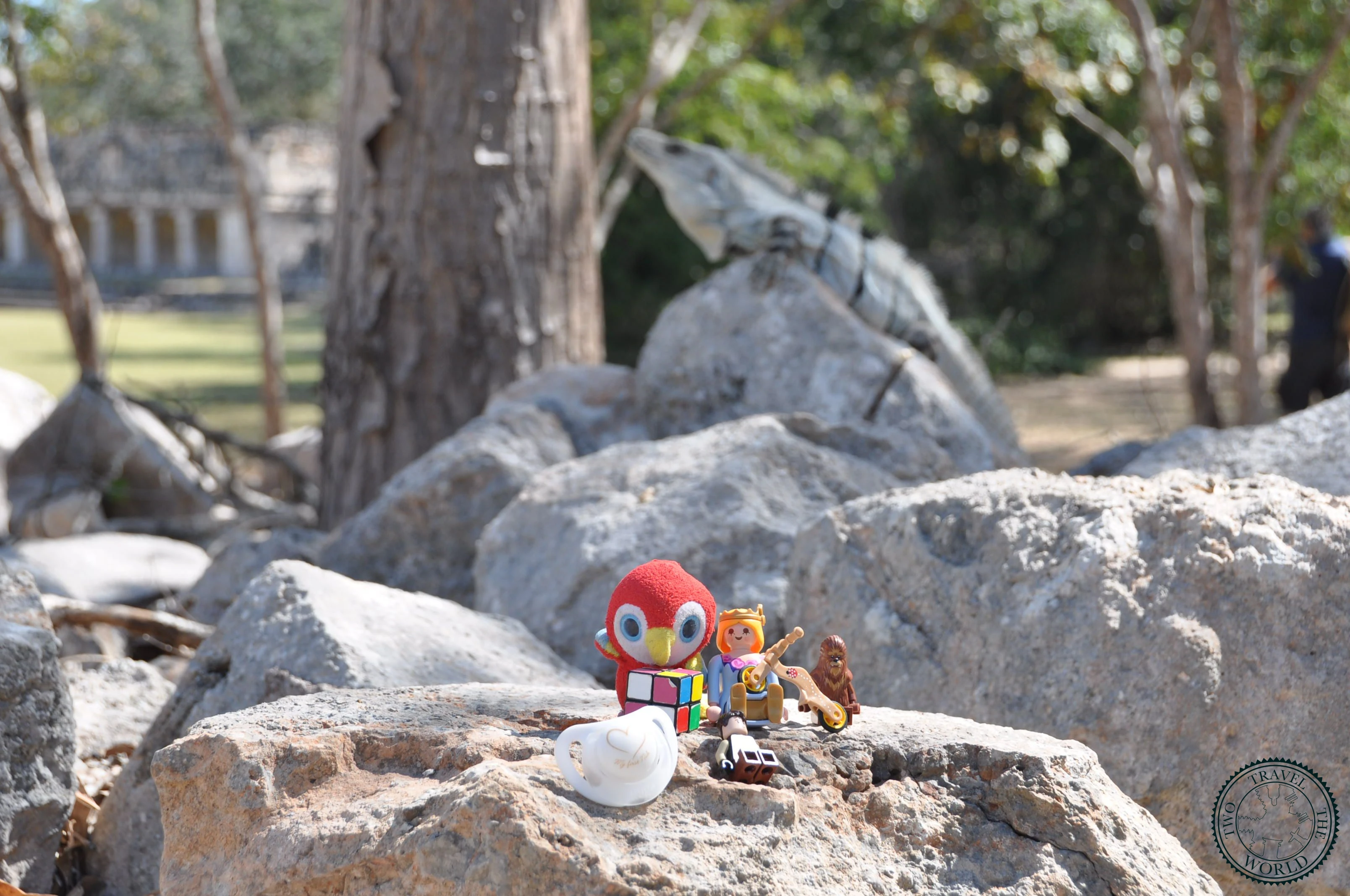 Les Fiots and the iguanas in Mexico!