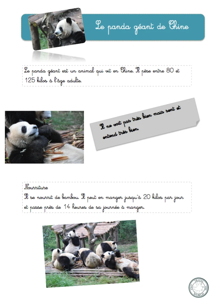 Les pandas géants
