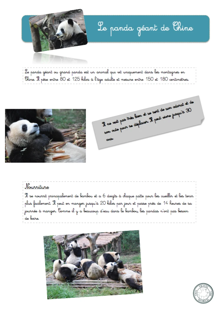 Les pandas géants