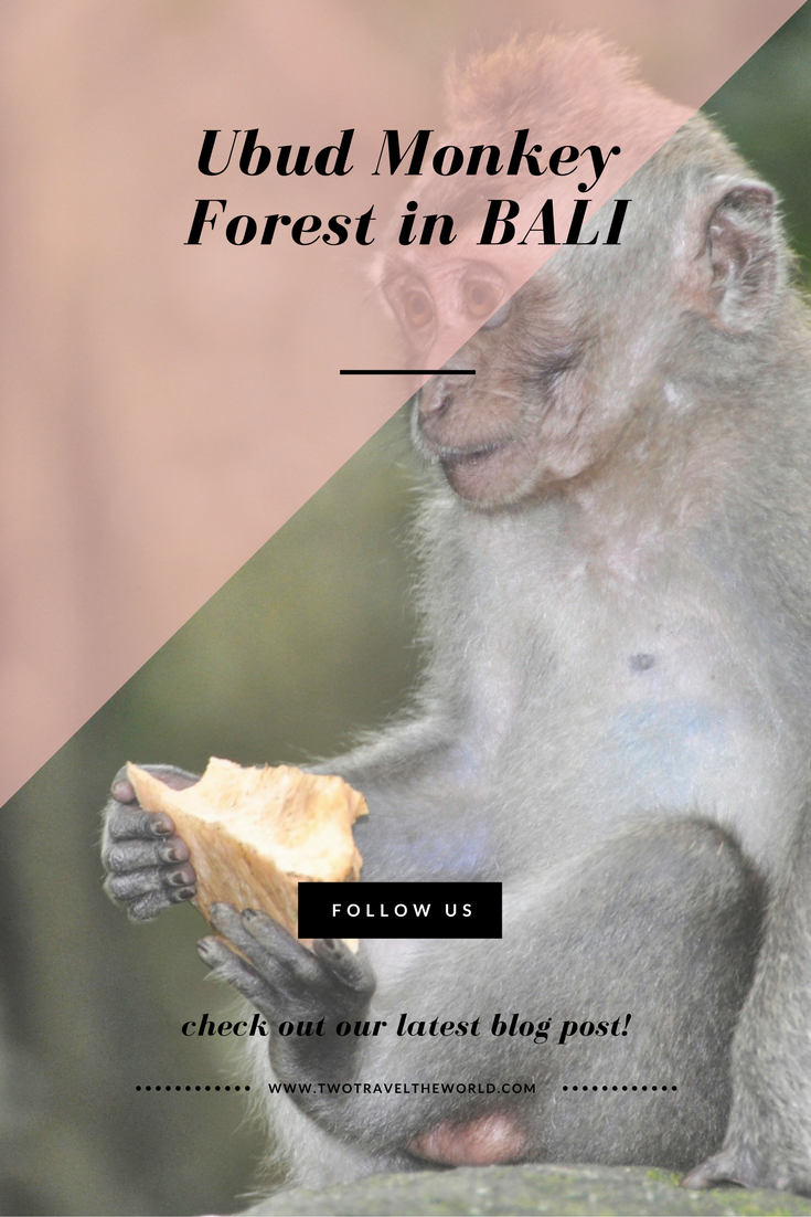 Two Travel The World - Ubud Monkey Forest in Bali
