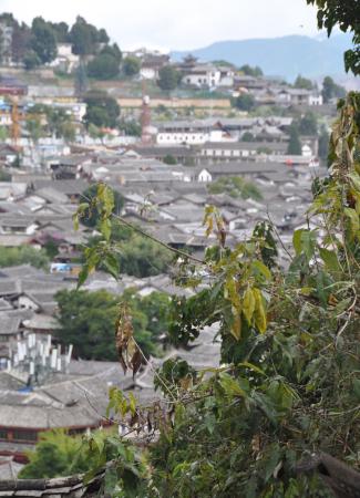 Two Travel The World - Lijiang Old Town