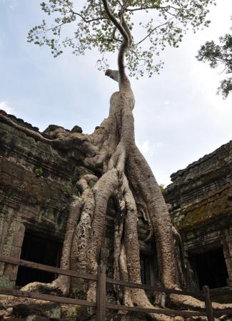 Two Travel The World - The Small Circuit Angkor