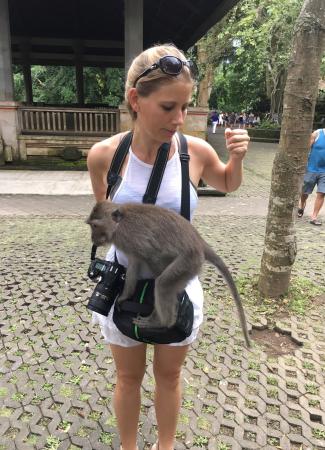 Two Travel The World - Ubud Monkey Forest in Bali